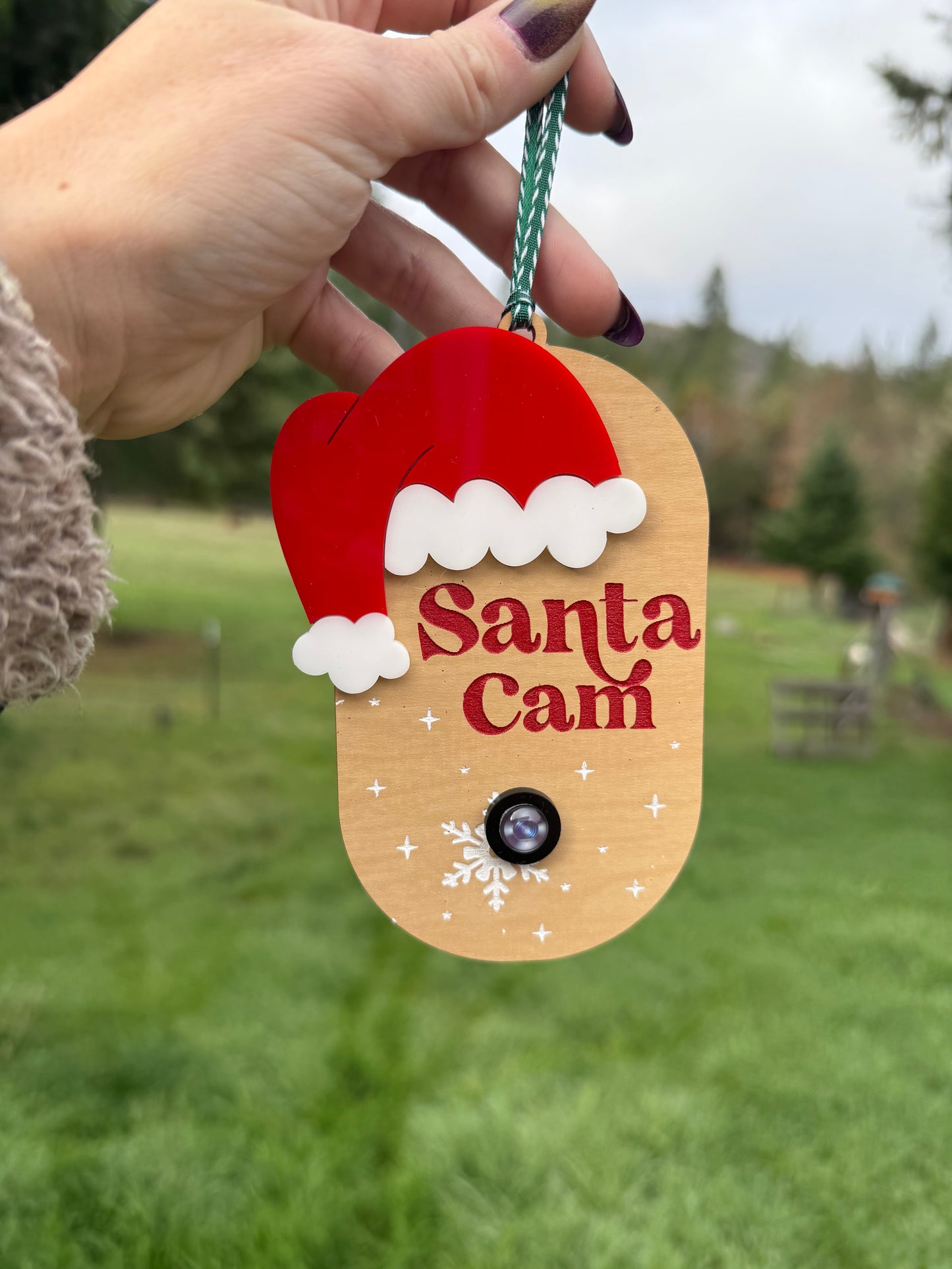 Santa Cam Ornament